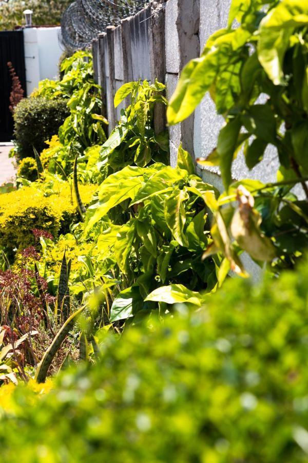 Kwampofu Guest House Harare Kültér fotó