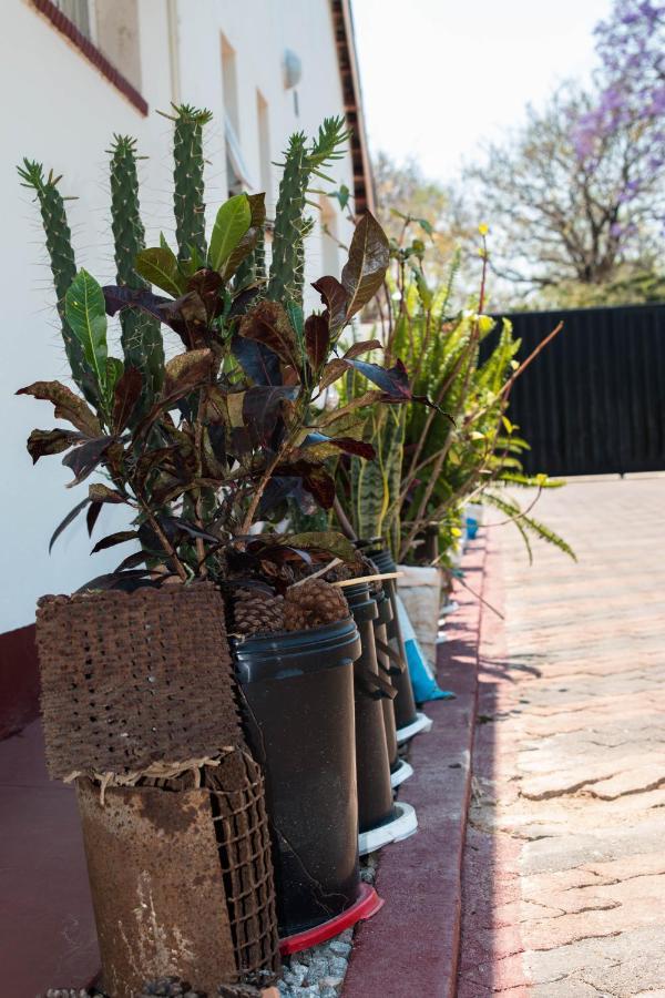 Kwampofu Guest House Harare Kültér fotó